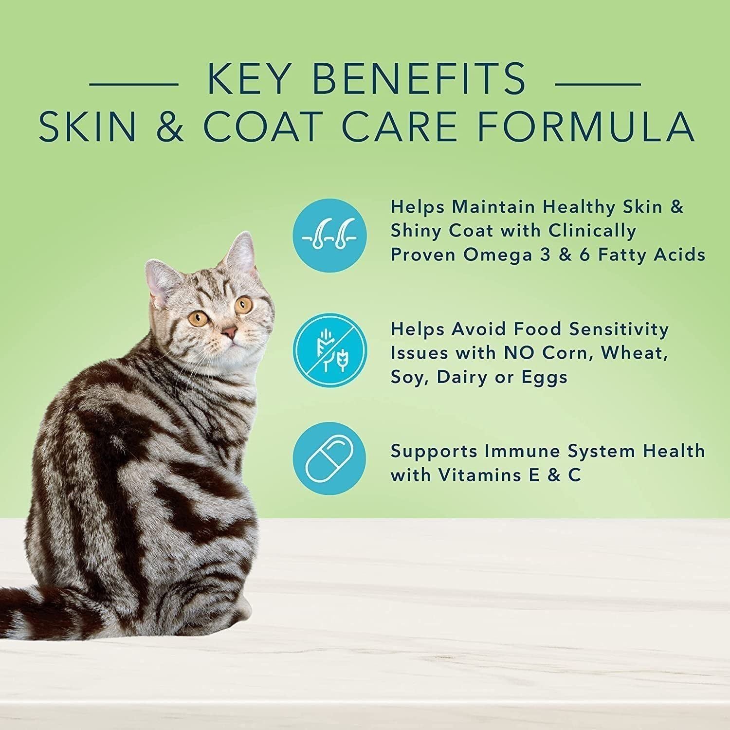 Perfect Coat Natural Skin & Coat Care Wet Cat Food - 24Pack
