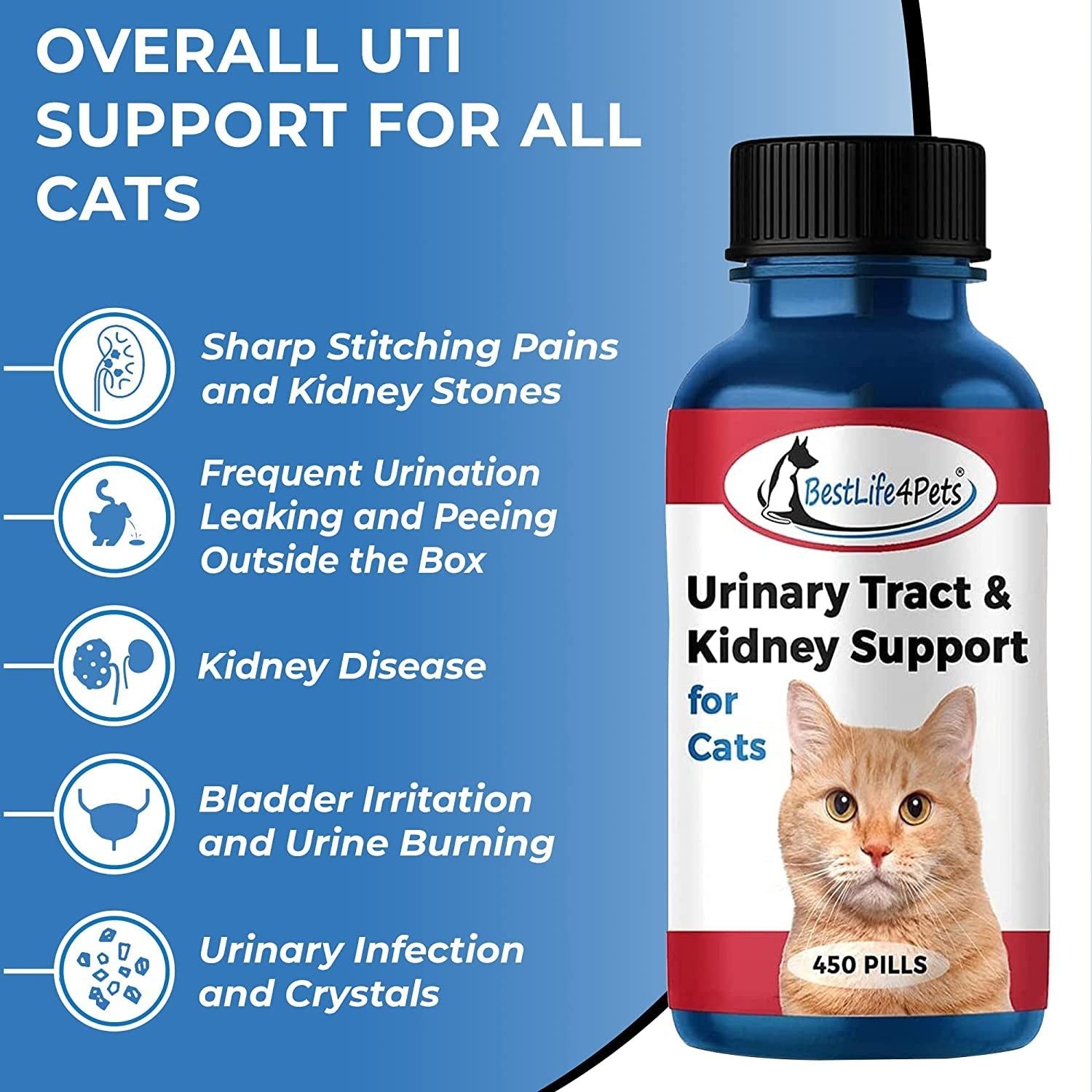 Cat UTI Urinary Tract Infection & Kidney Support Treatment