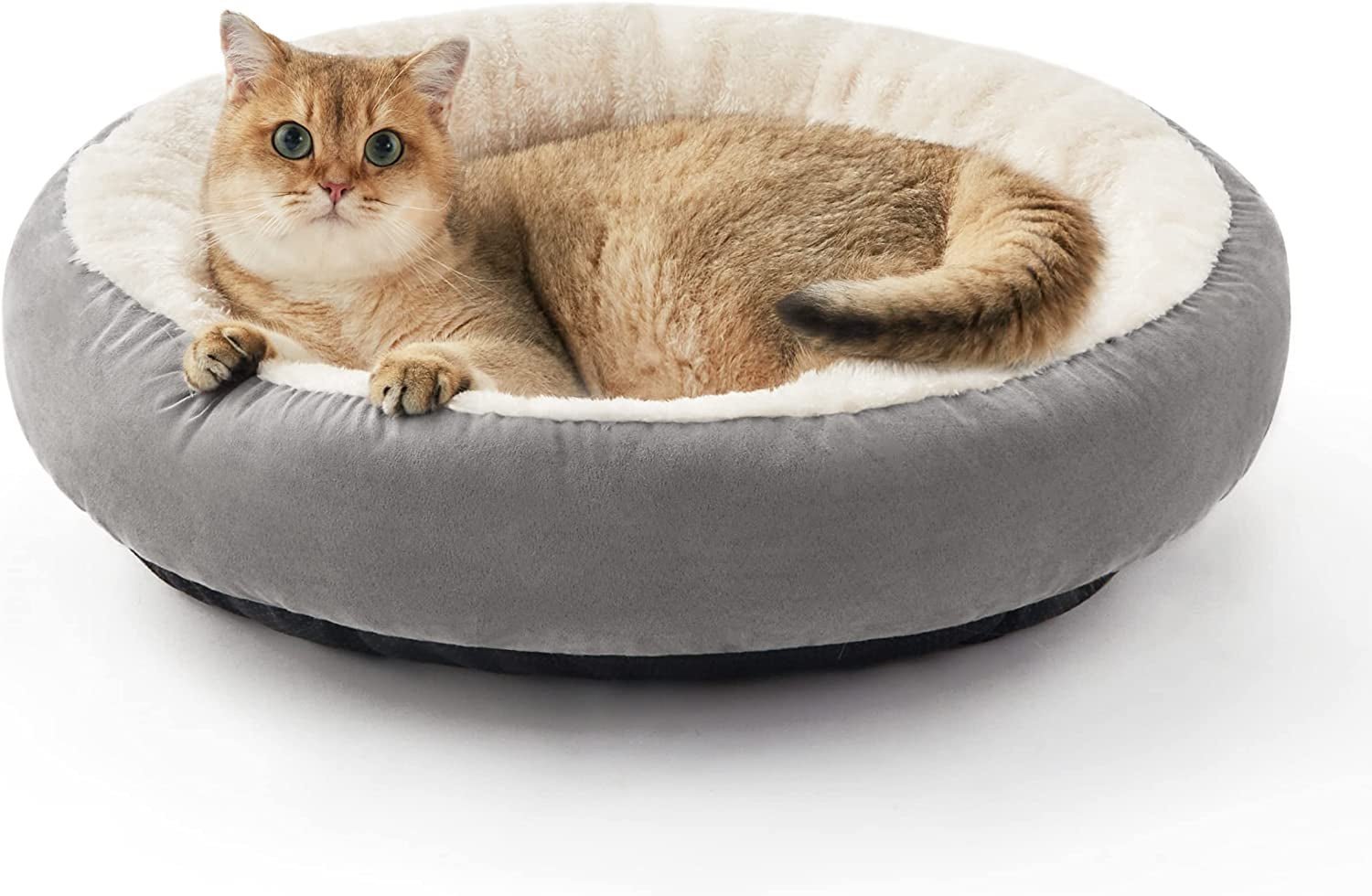 The Lap of Luxury for Feline Royalty: Purrfectly Comfy Cat Bed
