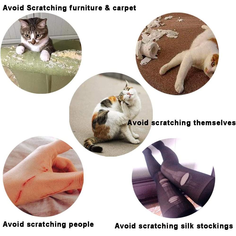 Cat Nail Caps/Tips Cat Soft Claws Covers