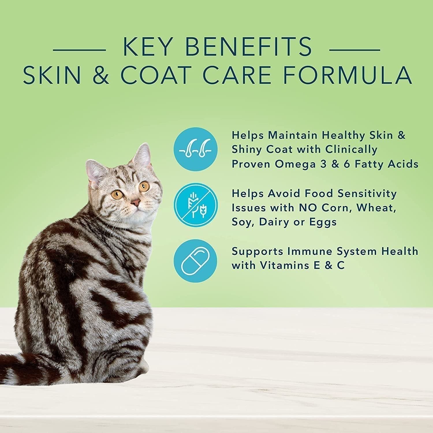 Natural Skin & Coat Care Dry Cat Food, Salmon - 11 Lb