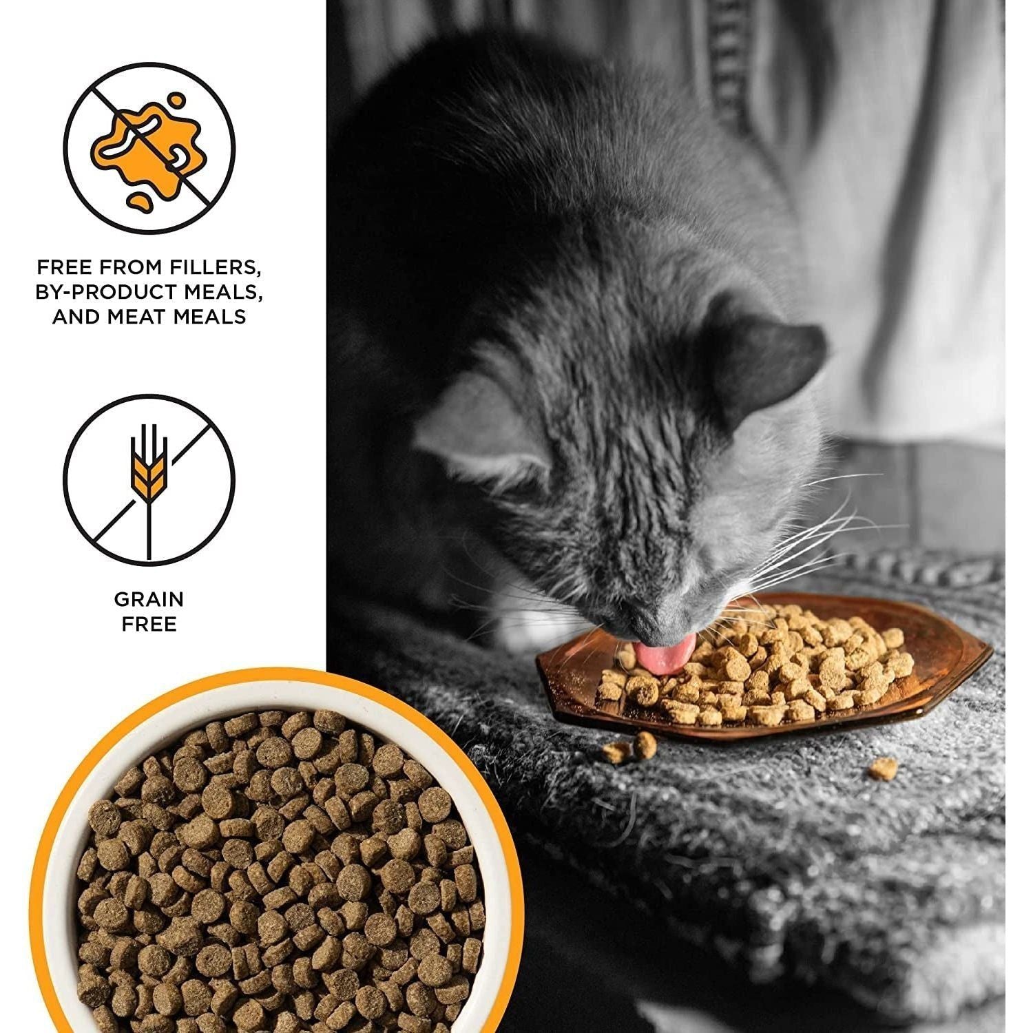 Dry Cat Food Kitten Health Chicken Recipe, 2.5Lb
