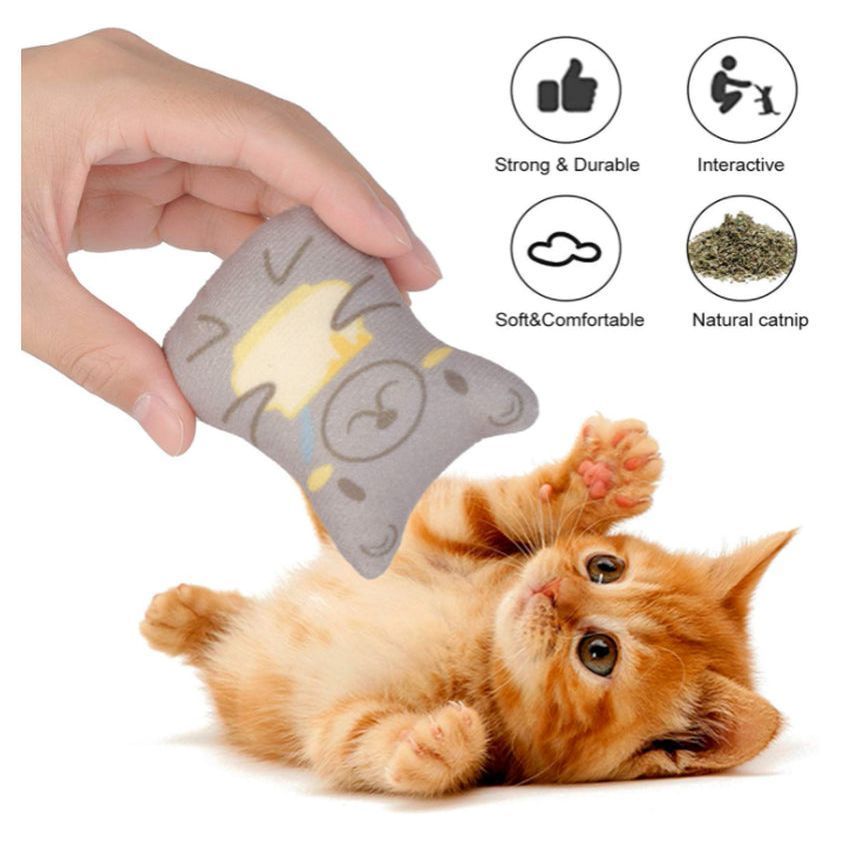 Catnip Toys for Cats - Plush Cat Chew Toys Teething Interactive for Kitten 5 PCS