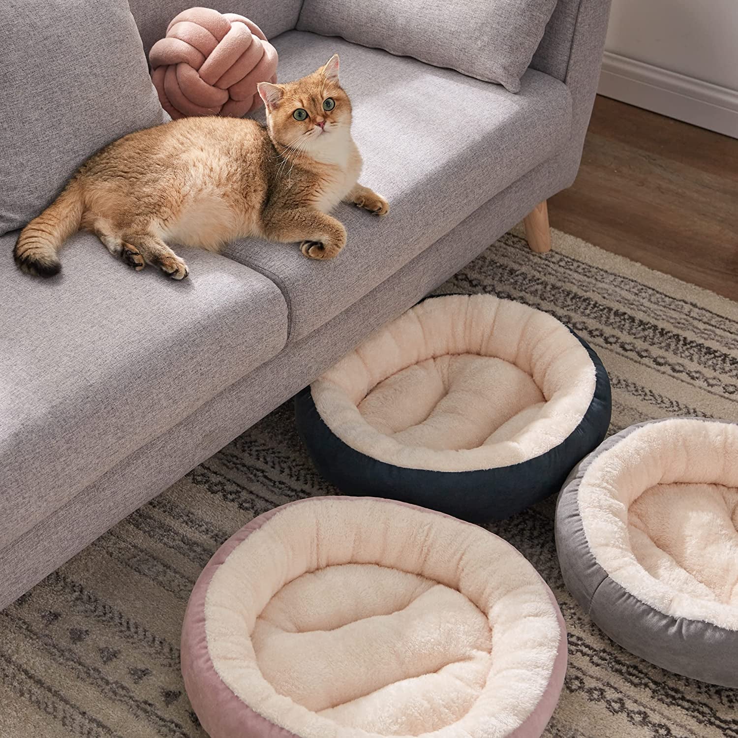 The Lap of Luxury for Feline Royalty: Purrfectly Comfy Cat Bed