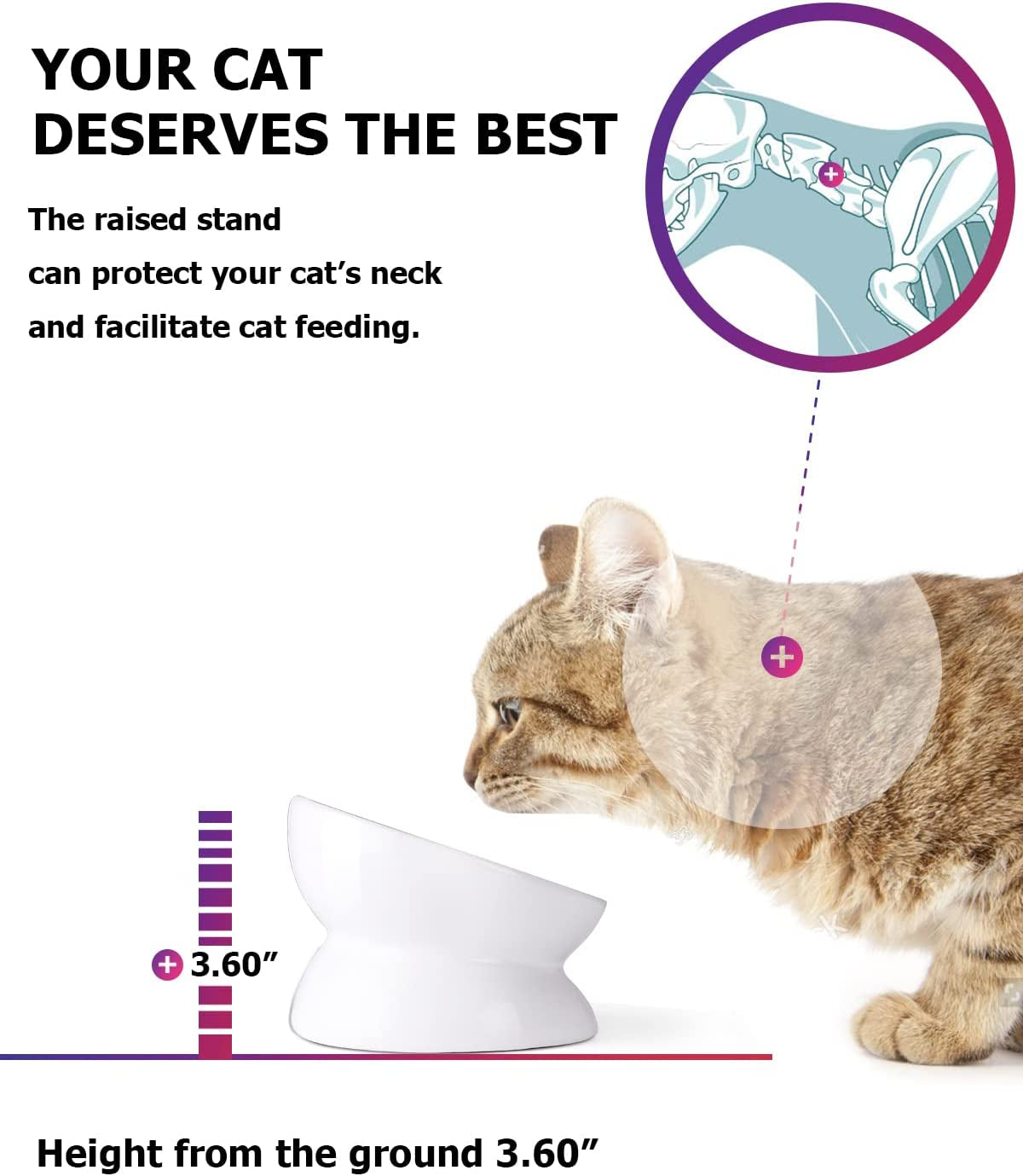 Cat Bowl anti Vomiting Raised Cat Food Bowls Tilted Elevated Cat Bowl Ceramic Pet Food Bowl
