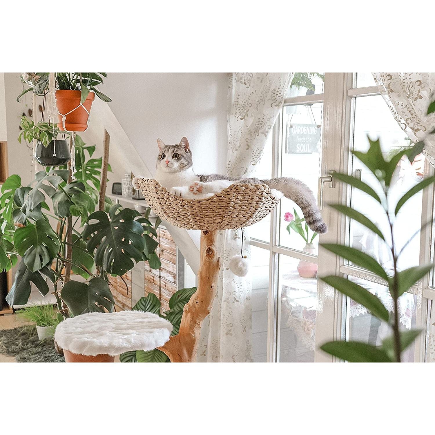 Cat Tree Tower, Real Wooden Single Branch Cat Condo, Cat Tree Wood