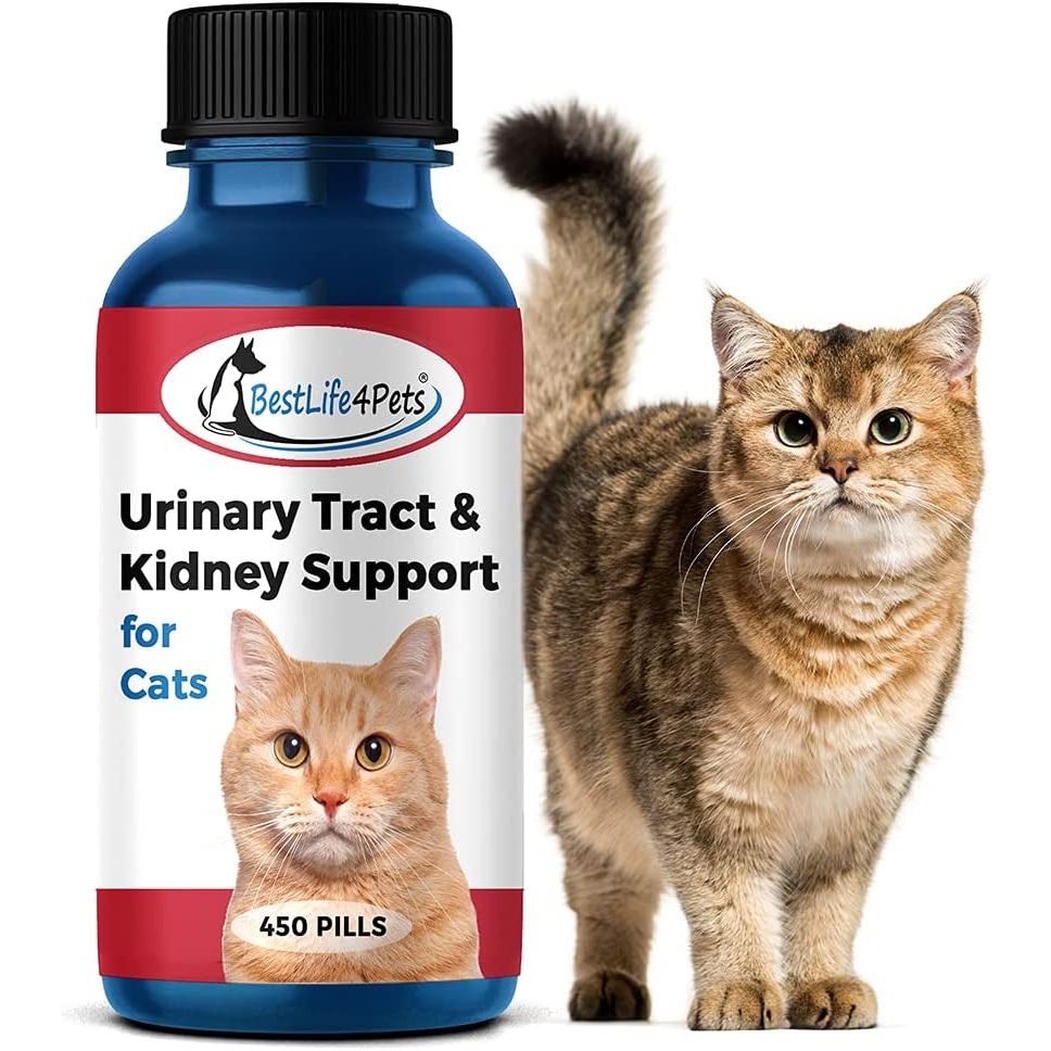 Cat UTI Urinary Tract Infection & Kidney Support Treatment
